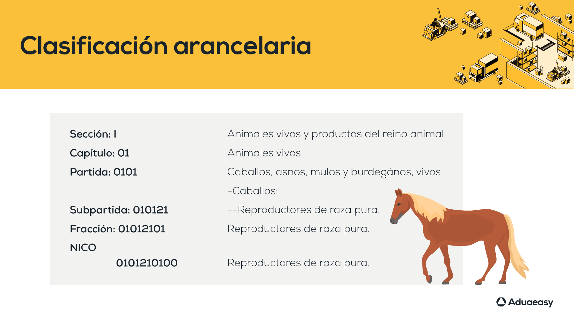 Clasificacion01