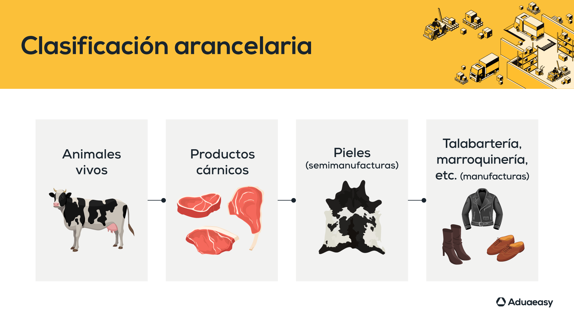 Clasificacion02